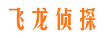 马村市场调查